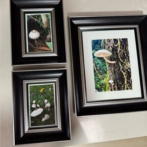 Set of 3 Photo Frames Black Wood Grain Silver Trim Cute Removable Mushroom Pics